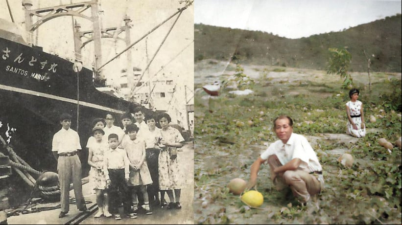 Em 1960, nove famílias japonesas chegaram em Guaiúba, após viagem a bordo do navio Santos Maru