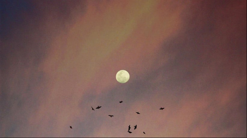 Veja qual fase da lua estamos nesta sexta, dia 13 de junho de 2025; e confira calendÃ¡rio do mÃªs 